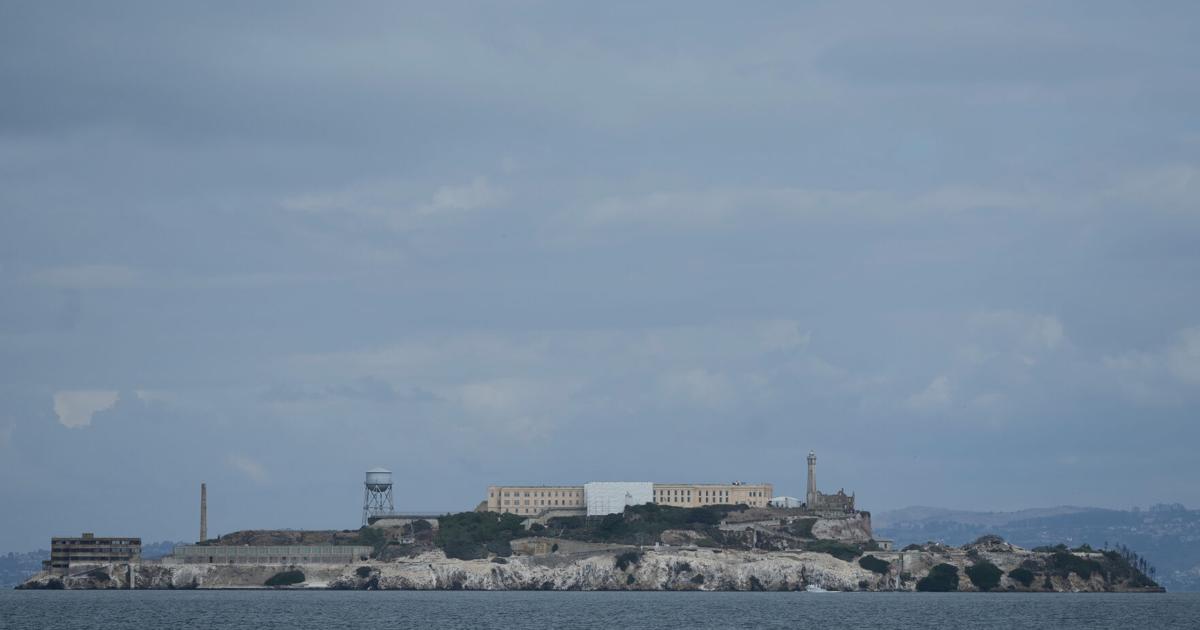 Male coyote swam 2 miles to Alcatraz Island, twice as far as biologists had expected