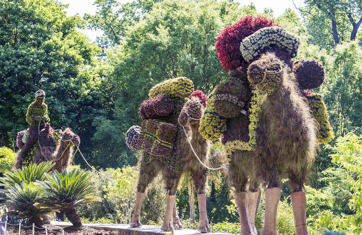 Garden Welcomes Back Imaginary Worlds Exhibition