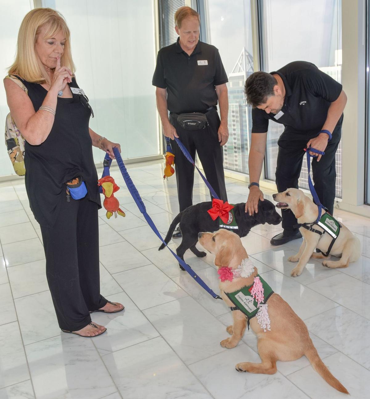 071019_MNS_full_Doggies_on_Catwalk_007 (6921) volunteers/fosters with puppies