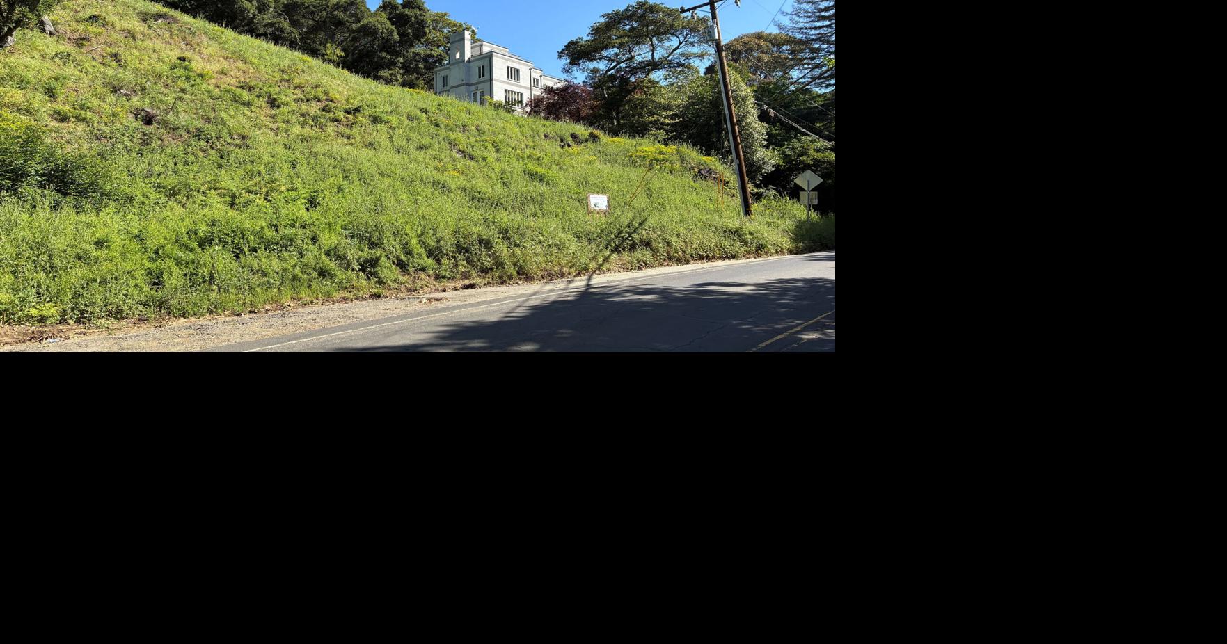 California landowners who cut 38 trees in Oakland hills hit with $915,000 fine