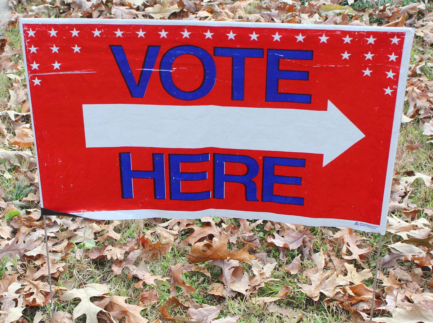 Runoff election turnout 'steady but slow' in Buckhead, Sandy Springs