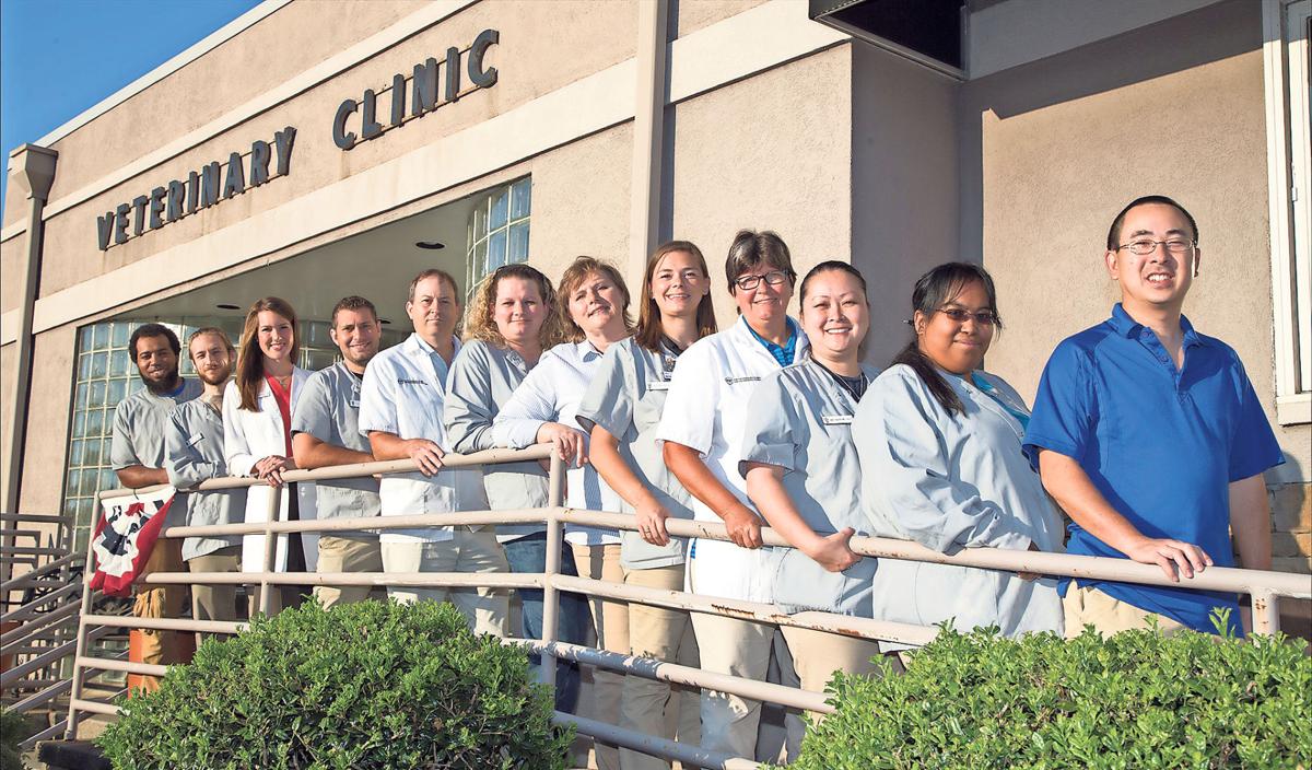 The Veterinary Clinics Dr Ali T Daniel Brings Special Passion