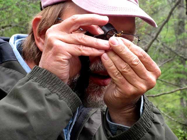 Dowsing For Dragonflies Outdoors Messagemedia Co messagemedia co