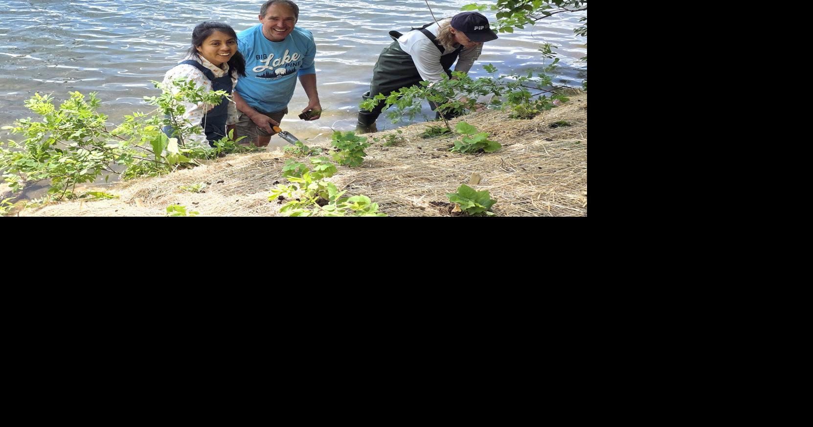 The shoreline trend that’s spreading faster than weeds