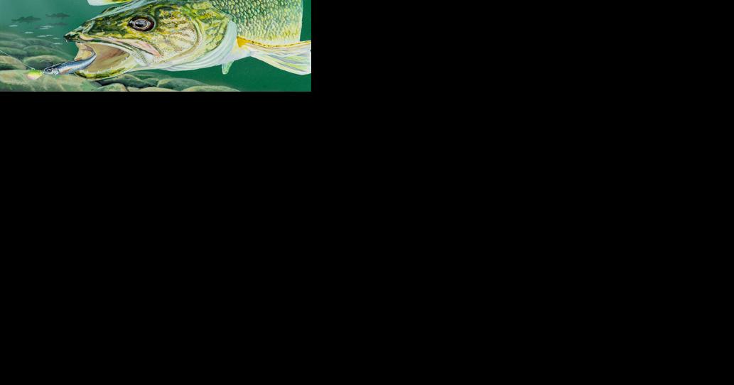 Winners chosen for 2024 trout and salmon stamp, walleye stamp contests - Vimarsana News