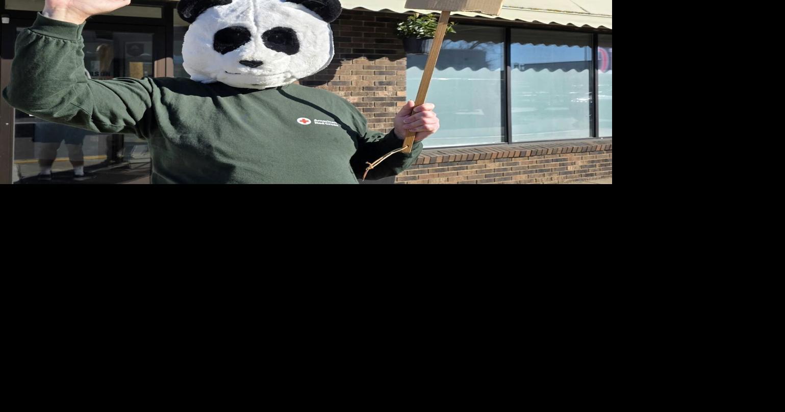 Panda-monium in downtown Aitkin reports area resident | Government ...
