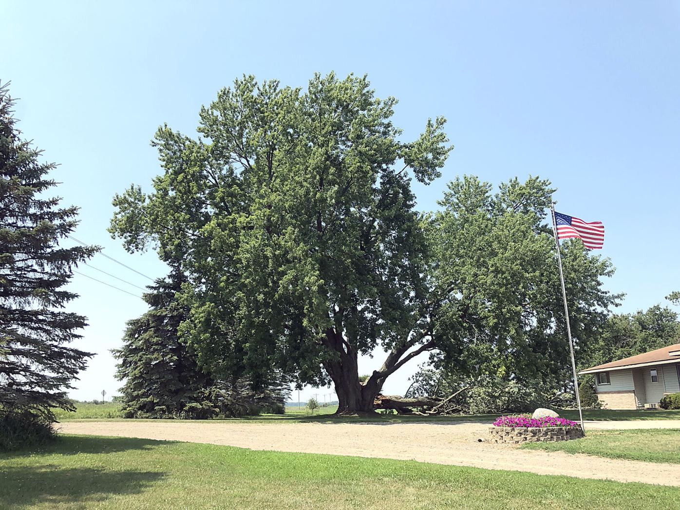 A Big Loss For The County Features Messagemedia Co