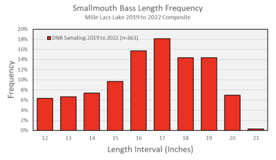 Bass graph