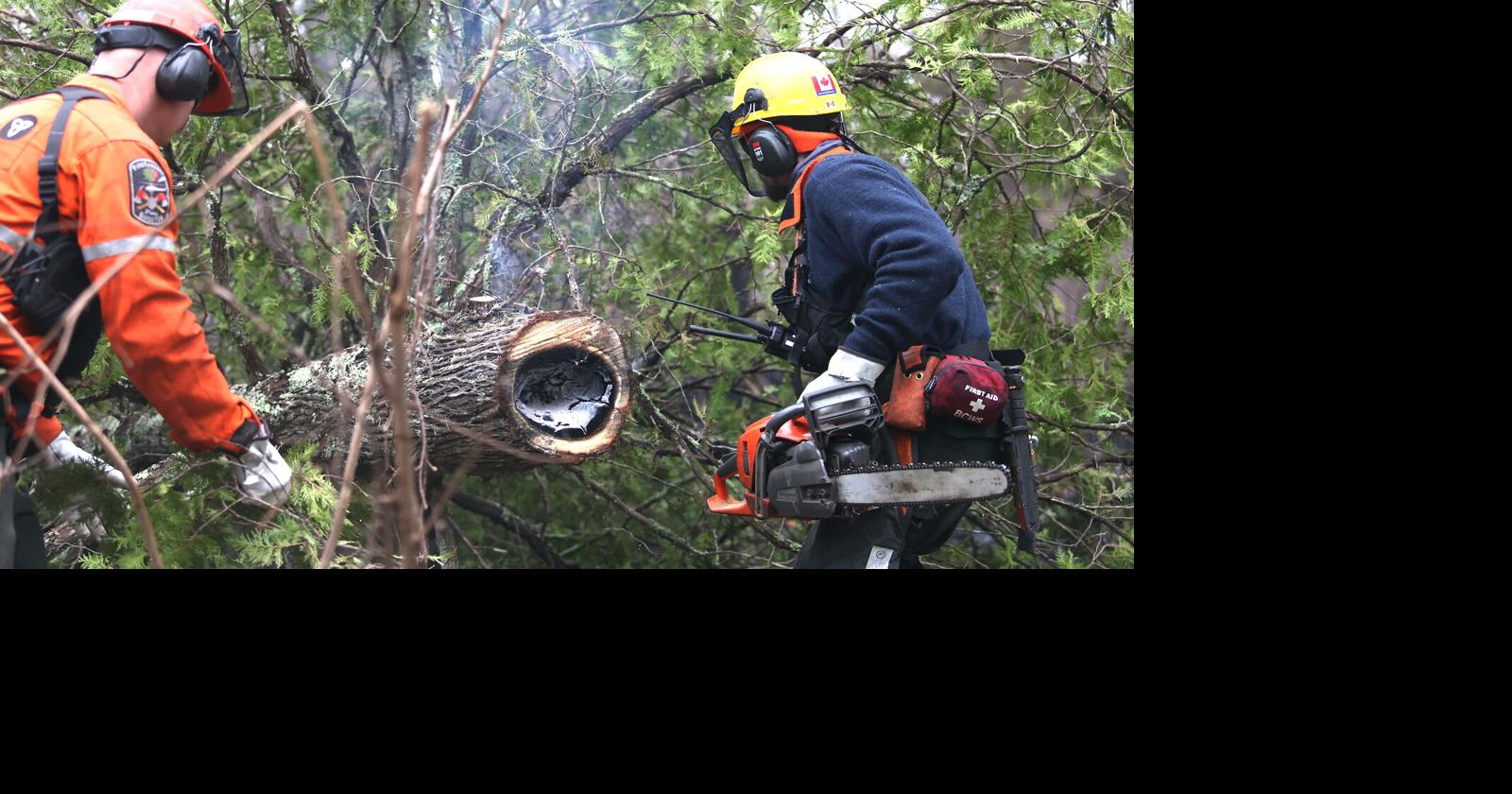 Local heroes provide aid at Stewart Trail Fire