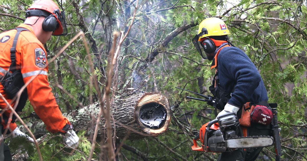 Local heroes provide aid at Stewart Trail Fire