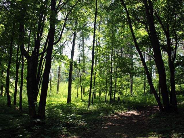 The Gre Aitkin Outdoors Long Lake Conservation Center