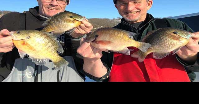Midwinter River Walleye Fishing