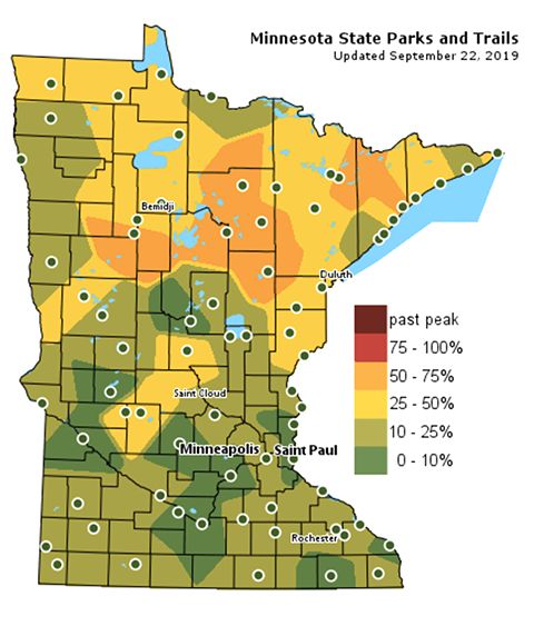 Minnesota Fall Color Chart