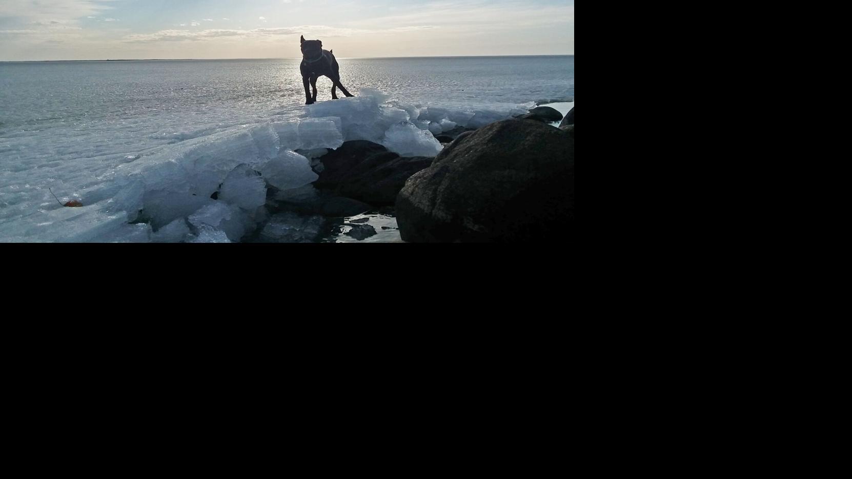 Reader - Photo of the week | Mille Lacs Messenger ...