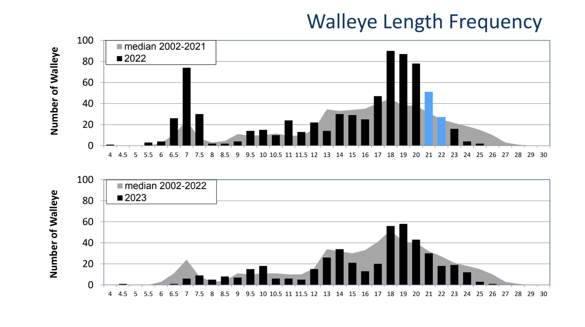 Fall Netting Results Walleye And Forage Population Down From 2022   654a7cdce7864.image 