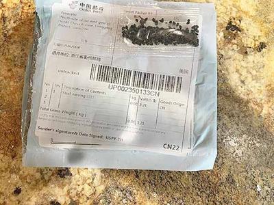 Minnesota Continues To Report Unsolicited Seeds Arriving By Mail Local Messagemedia Co