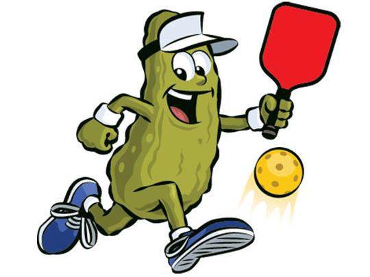 Pickleball – Answers to frequently asked questions | Area Events ...