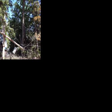 Storm topples trees, damages lines, leaves thousands without power ...