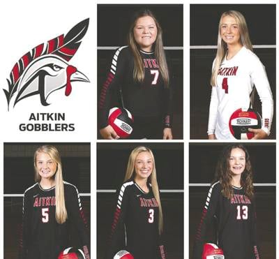 Gobblers earn All-Area volleyball honors