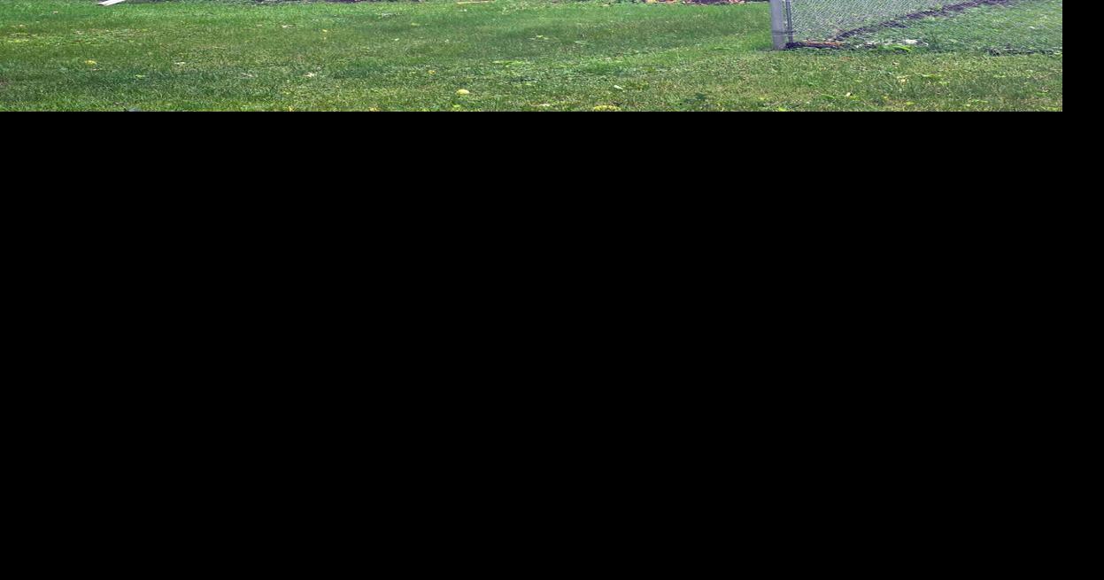 Severe storms cause damage in the area | Local | messagemedia.co
