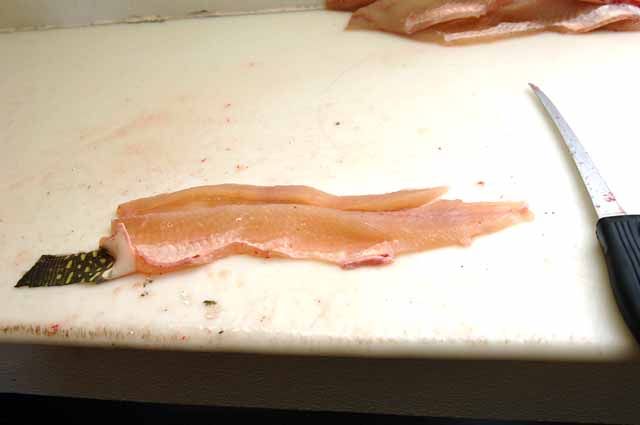 Step by step with the fillet king | Fishing | messagemedia.co