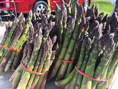Growing Asparagus In Minnesota Home Garden Messagemedia Co