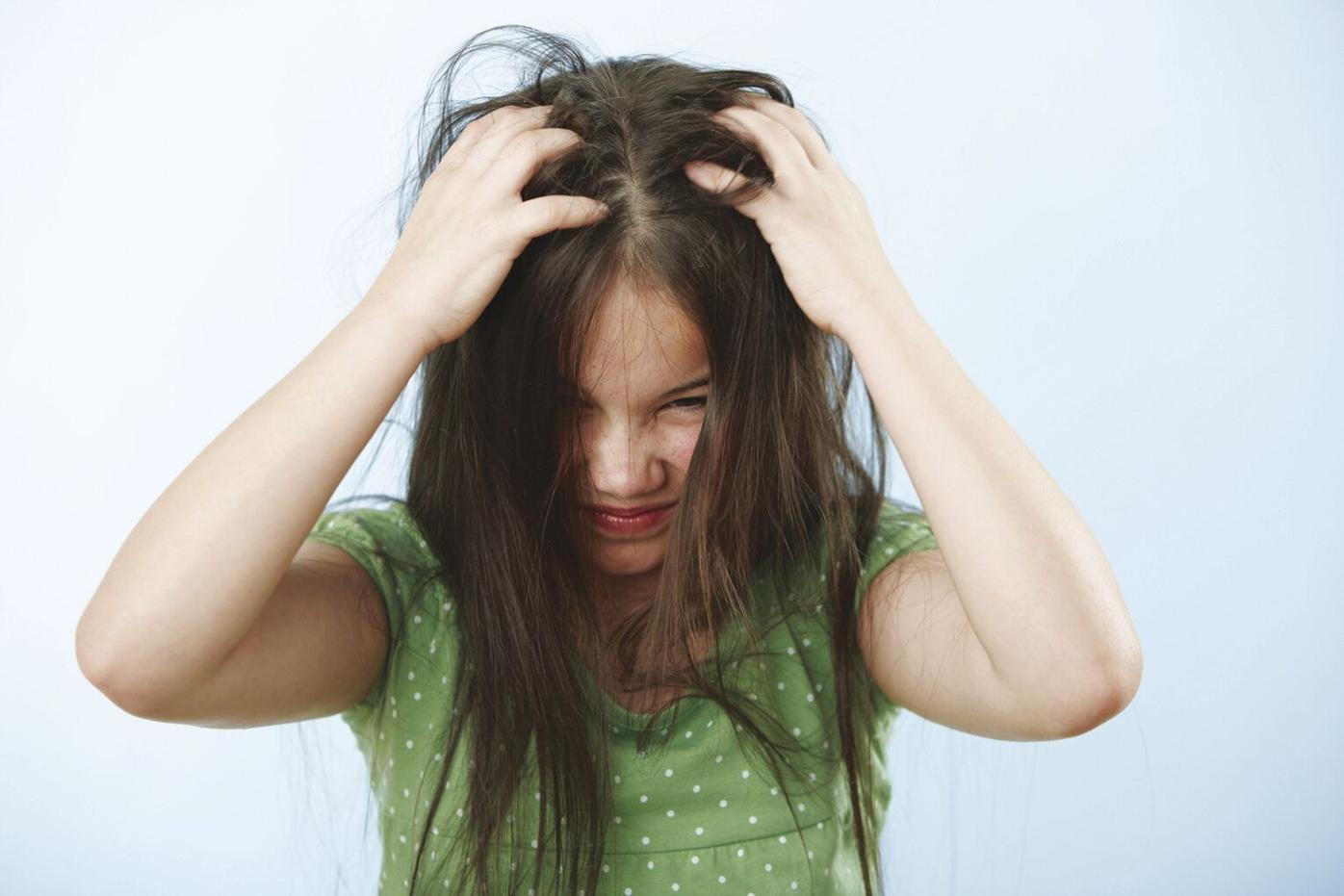 Be prepared if head lice finds you | Mille Lacs Messenger Be prepared if head lice finds you | Mille Lacs Messenger