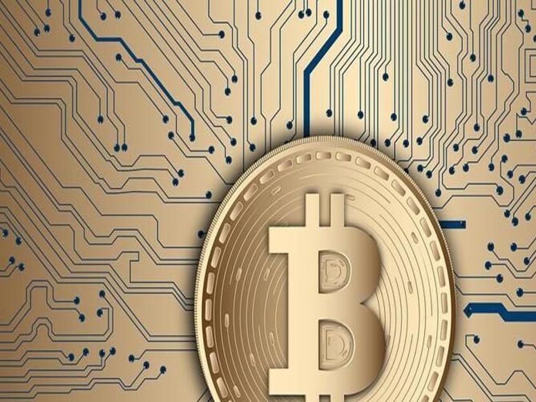 Faith in crypto fading | Business | miamitimesonline.com