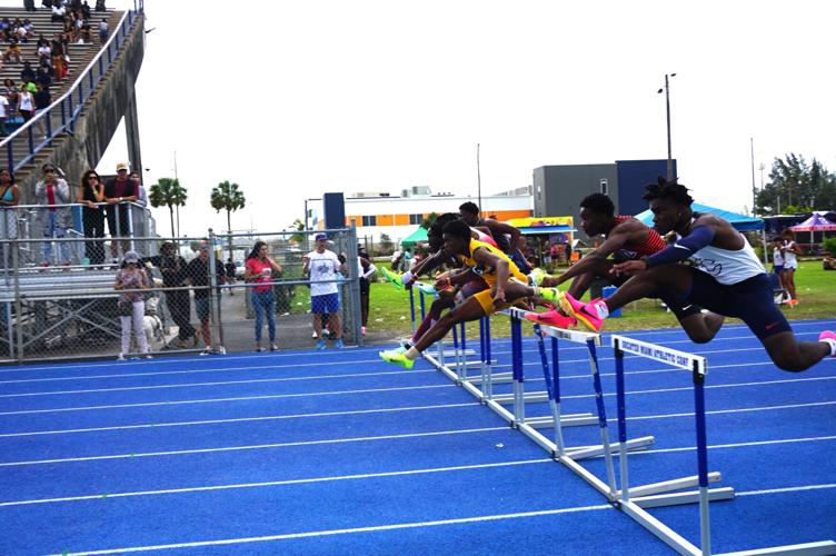 Louie Bing Invitational opens track season Sports
