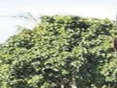 Bertram Karl Hadley Obituaries Miamitimesonline Com