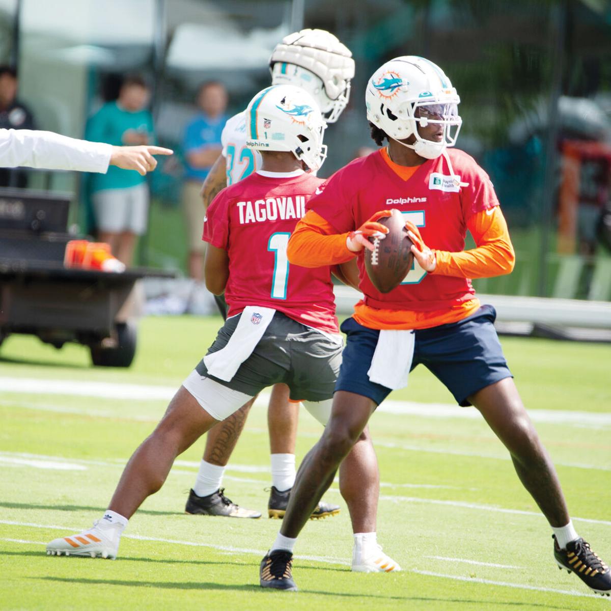 Local legends thrill at Dolphins training camp