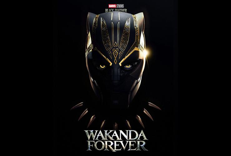 In 'Wakanda Forever,' an empire mourns and rebuilds | Lifestyles |  miamitimesonline.com