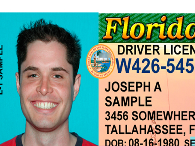 FloridaDaily.com on X: Florida Drivers Licenses for Illegal