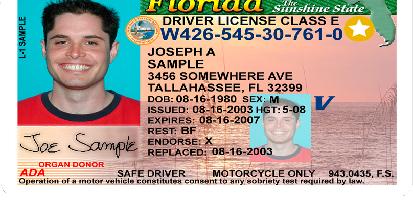 Drivers License Proposal Targets Sex Offenders Florida News 3410