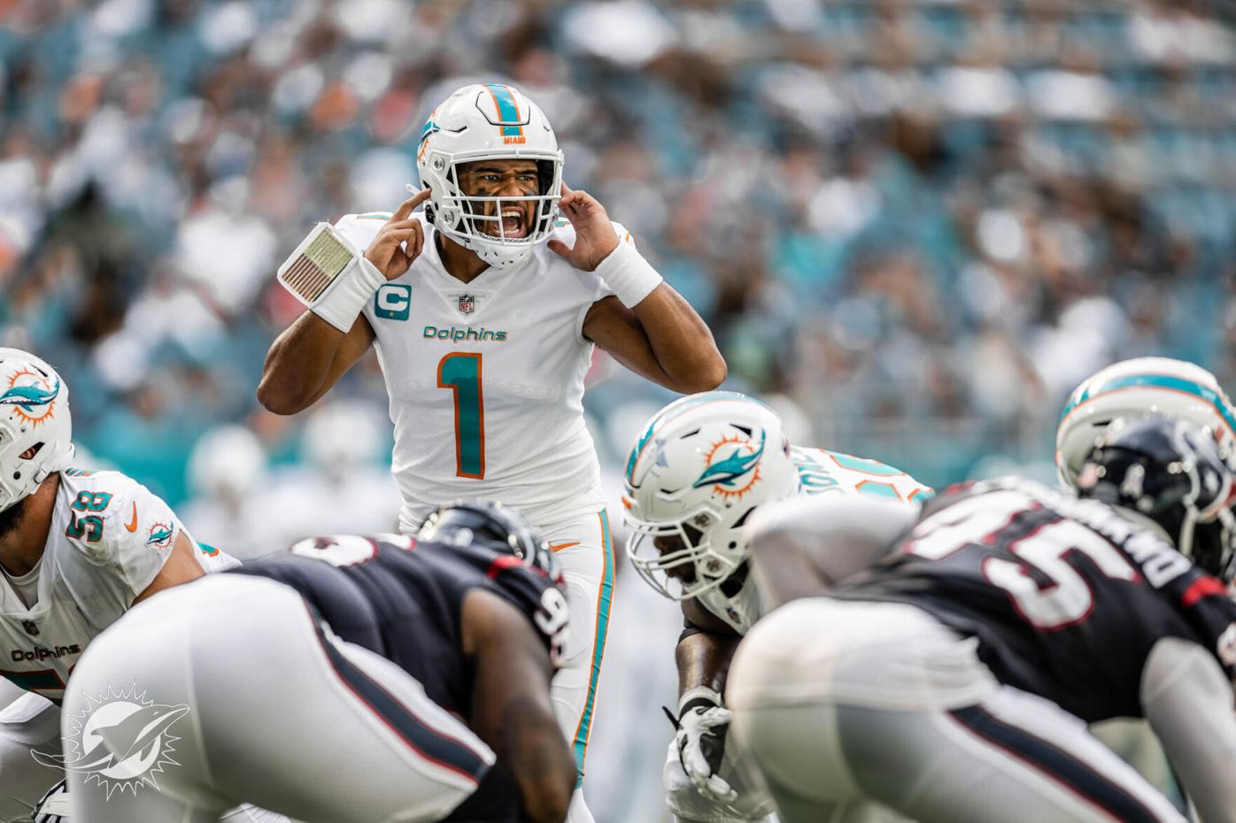 The Miami Dolphins' Logo Needs Its Helmet Back, Permanently