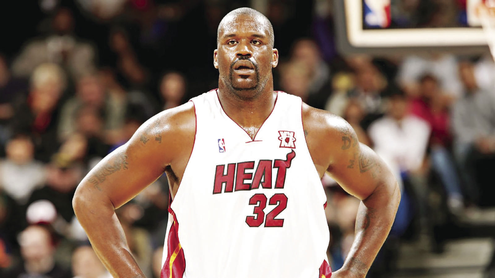 Miami heat retire store shaq jersey