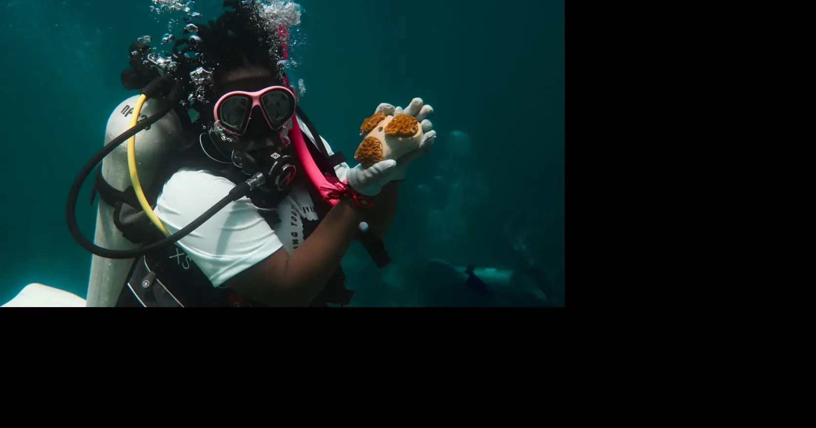Black marine scientists fight for Florida's coral reefs — and representation