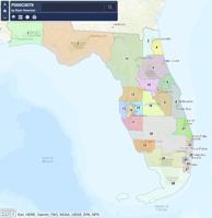 DeSantis map dilutes minority voting strength