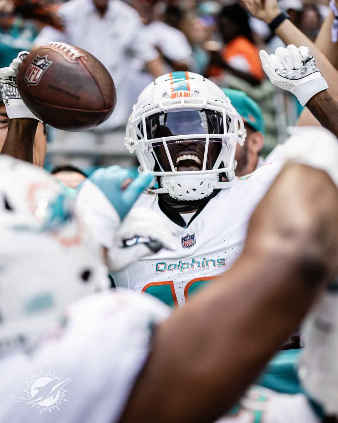 Dolphins the new greatest show on turf, Sports