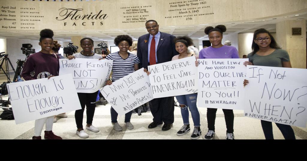 FL Supreme Court expedites voting map challenge Florida News