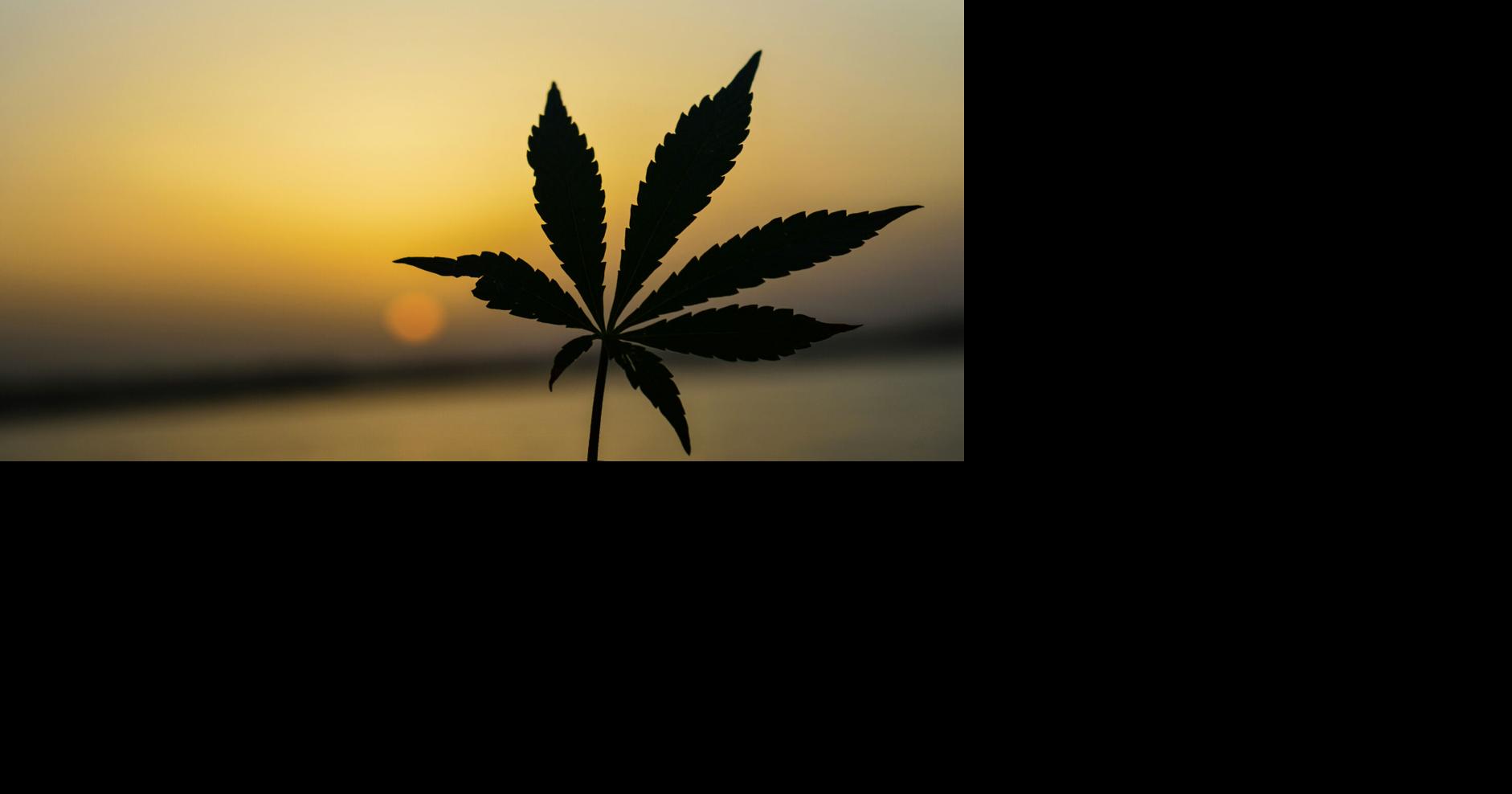 Carlos G. Smith files bill to allow medical pot patients to grow their own plants