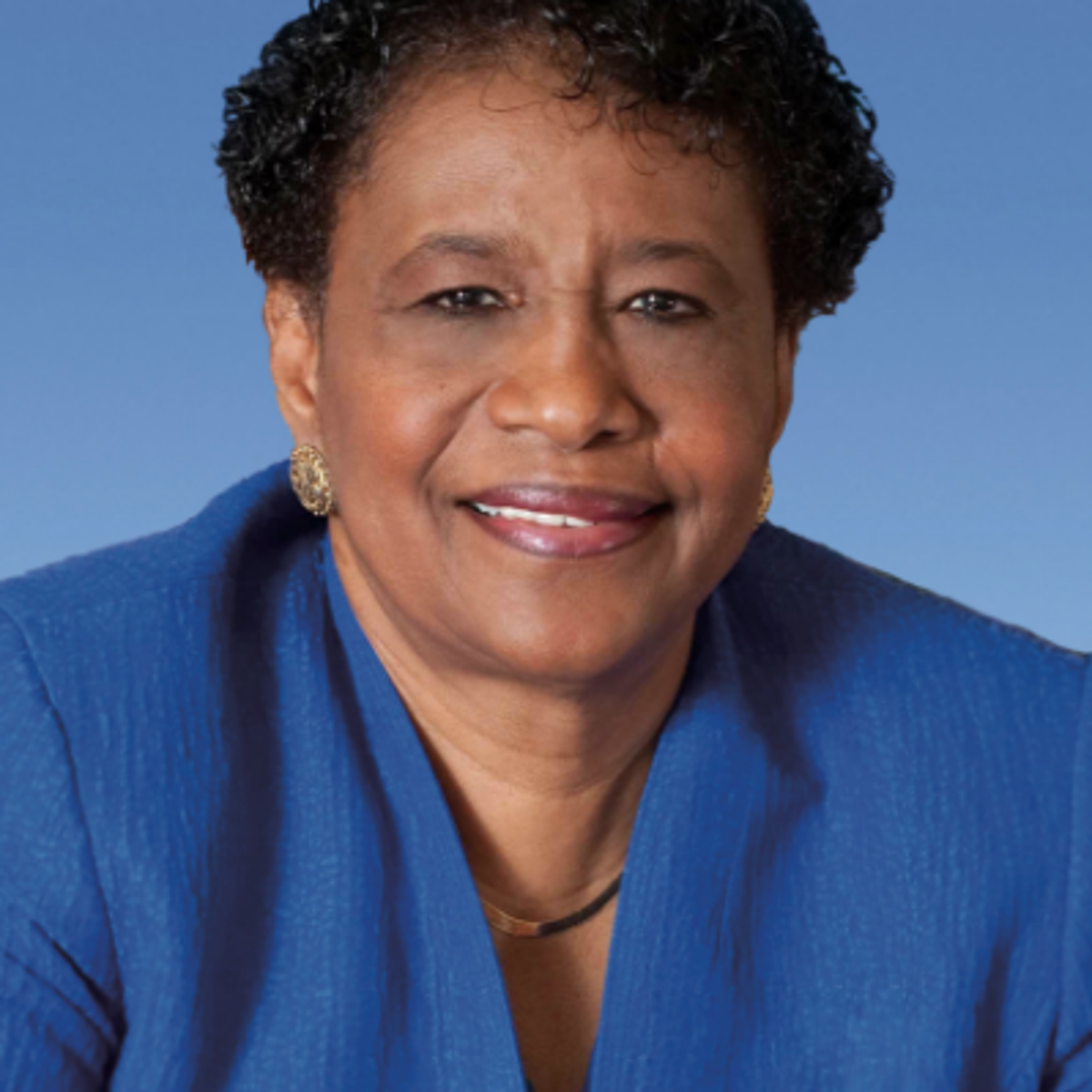Miami Dade County Commission Fails Commissioner Jordan On Override Vote News Miamitimesonline Com