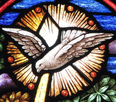 Stained glass dove