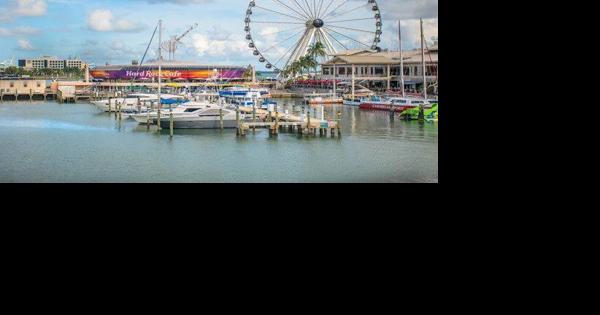 Bayside: From Miami Vice to Miami nice - Vimarsana News