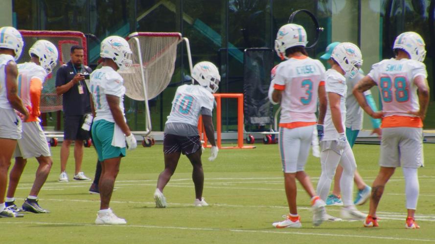 Miami Dolphins begin training camp, Sports