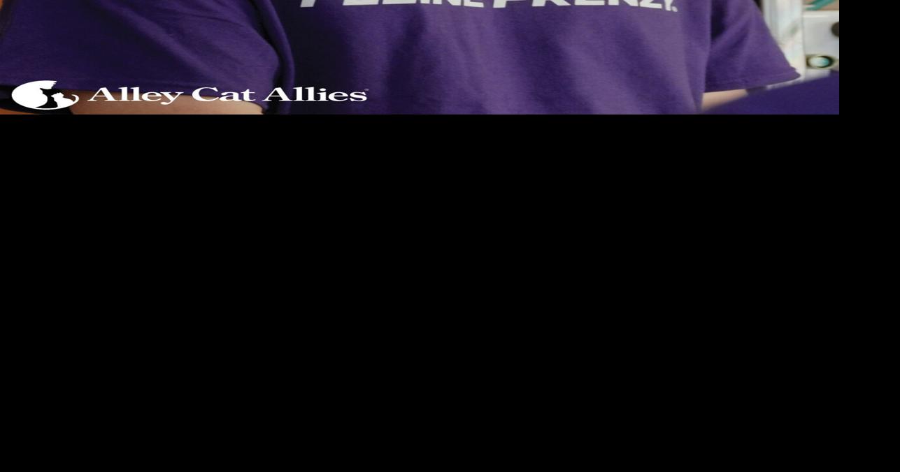 169 Community Cats Spayed or Neutered in One Day at Alley Cat Allies Feline Frenzy® in Canton, Ohio