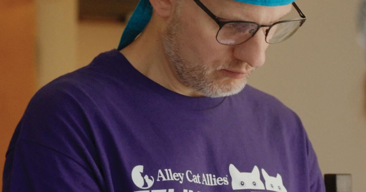 169 Community Cats Spayed or Neutered in One Day at Alley Cat Allies Feline Frenzy® in Canton, Ohio