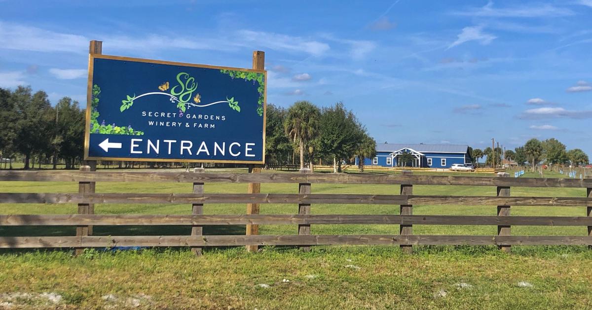 There S A New Winery In Town Highlands News Sun Midfloridanewspapers Com