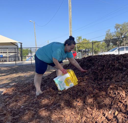 Everyone wins on the Day of Caring Highlands Sun