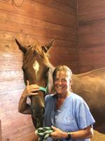 Dark Horse Stables visits racehorses on St Thomas